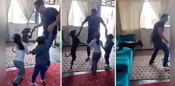 Perrito sorprende a sus dueños al jugar lobo qué estás haciendo y escena se hace viral en TikTok Perrito sorprende a sus dueños al jugar lobo qué estás haciendo y escena se hace viral en TikTok
