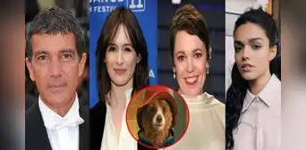 "Paddington en Perú": estos 4 famosos actores y actrices se unirían a la película "Paddington en Perú": estos 4 famosos actores y actrices se unirían a la película
