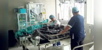 Guillain Barré: alerta en las regiones del norte por incremento de casos de este síndrome Guillain Barré: alerta en las regiones del norte por incremento de casos de este síndrome