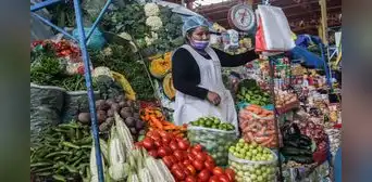 Cebolla y tomate son los productos que más encarecen en las regiones del sur Cebolla y tomate son los productos que más encarecen en las regiones del sur