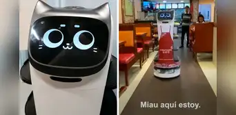 Un gatito robot es el mesero sensación en este chifa de Lima: ¿dónde queda y cómo llegar al local? Un gatito robot es el mesero sensación en este chifa de Lima: ¿dónde queda y cómo llegar al local?