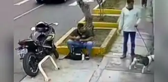 San Miguel: sujeto amarró a cachorro a puerta de veterinaria y lo abandonó