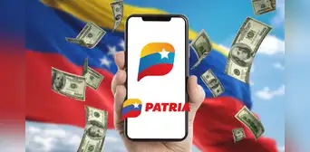 Bono de la Patria de 1.320 bolívares: ¿cuándo inició el pago y qué hacer para recibirlo? Bono de la Patria de 1.320 bolívares: ¿cuándo inició el pago y qué hacer para recibirlo?
