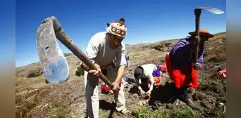 En el Perú más del 70% de tierras agrícolas no cuentan con ningún seguro