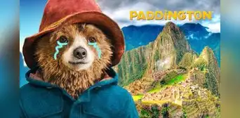 “Paddington en Perú” se grabará en Colombia casi en su totalidad: así fue la denuncia de Sandro Ventura “Paddington en Perú” se grabará en Colombia casi en su totalidad: así fue la denuncia de Sandro Ventura