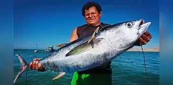 ¿Por qué el Día del Pescador se celebra cada 29 de junio en Perú? Historia y origen ¿Por qué el Día del Pescador se celebra cada 29 de junio en Perú? Historia y origen