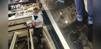 Italia: el McDonald's construido sobre restos de esqueletos humanos de más de 2.000 años de antigüedad Italia: el McDonald's construido sobre restos de esqueletos humanos de más de 2.000 años de antigüedad