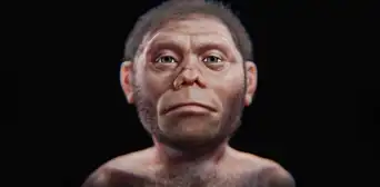 Científicos reconstruyen el rostro del 'Hobbit', nuestro primo enano extinto hace 50.000 años Científicos reconstruyen el rostro del 'Hobbit', nuestro primo enano extinto hace 50.000 años