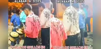 ¡Impactante! Músicos de cumbia tocaron cubiertos de grillos en Piura y se vuelven viral en TikTok ¡Impactante! Músicos de cumbia tocaron cubiertos de grillos en Piura y se vuelven viral en TikTok