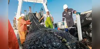 Día del Pescador: gremio de armadores exigen salida de ministro de la Producción