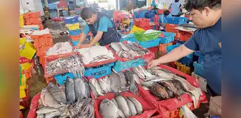 Día del Pescador sin pensiones y a merced del cambio climático Día del Pescador sin pensiones y a merced del cambio climático