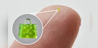 ¿Sabías que existe un bolso más pequeño que un grano de sal?: fue vendido en más de US$62.000 ¿Sabías que existe un bolso más pequeño que un grano de sal?: fue vendido en más de US$62.000