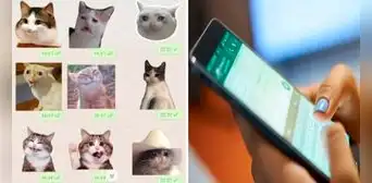 ¿Se borraron tus stickers de WhatsApp y no sabes qué hacer? Te enseñamos cómo recuperarlos