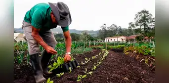 Japón usa fertilizantes fabricados con heces humanas ante precios altos por guerra de Ucrania Japón usa fertilizantes fabricados con heces humanas ante precios altos por guerra de Ucrania