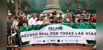 Pacientes de cannabis piden legalizar planta de marihuana por falta de insumos para medicación Pacientes de cannabis piden legalizar planta de marihuana por falta de insumos para medicación