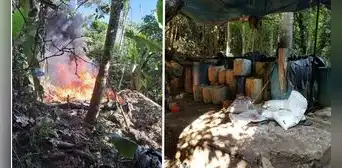 Fuerzas especiales de la Dirandro destruyen 13 narcolaboratorios