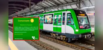 Metro de Lima: Línea 1 reporta demora en trenes por presencia de cachorro en sus vías