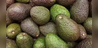 ProHass recorta proyección de exportaciones de palta Hass a menos de 600.000 toneladas en 2023