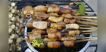 No solo es el suri: ¿qué otros animales exóticos forman parte de la gastronomía peruana?