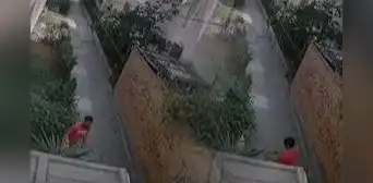 Callao: hombre agredió brutalmente a su mascota cuando la sacaba a pasear