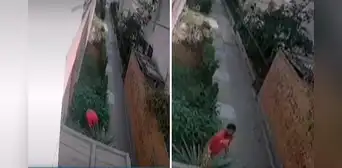 Callao: sujeto que agredió brutalmente a su mascota fue multado con más de S/2.000 por maltrato animal