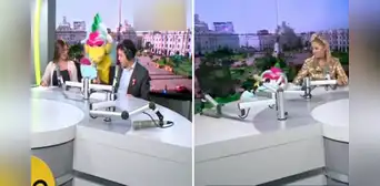 ¡El mal paso de Timoteo!: dragoncito sufre terrible caída durante entrevista en vivo