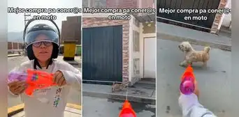 Joven ‘dispara’ con su pistola de agua a los perritos que se acercan a ladrarle: “La mejor compra”
