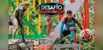 "Desafío the box" gran final 2023: ¿qué se sabe del cierre de temporada?
