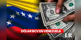 Precio del dólar BCV HOY, sábado 8 de julio: tasa oficial según Banco Central de Venezuela Precio del dólar BCV HOY, sábado 8 de julio: tasa oficial según Banco Central de Venezuela