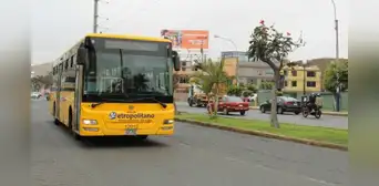 Conoce las rutas y horarios de los alimentadores del Metropolitano en Naranjal y Matellini Conoce las rutas y horarios de los alimentadores del Metropolitano en Naranjal y Matellini