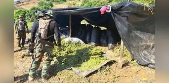 La Libertad: decomisan 6 toneladas de marihuana y destruyen 481.000 plantaciones de cannabis