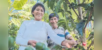 El mejor café del mundo es de sandia y le pertenece a Vicentina Phocco