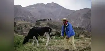 Las familias que viven cerca al volcán Ubinas y le perdieron miedo Las familias que viven cerca al volcán Ubinas y le perdieron miedo