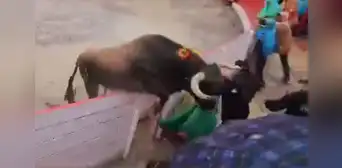 Asustado toro salta por encima del ruedo en Cajamarca y genera pánico en el público