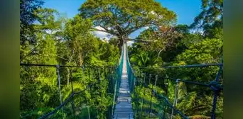 Puerto Maldonado: ¿cuál es la mejor época para visitarlo y qué atractivos turísticos hay? Puerto Maldonado: ¿cuál es la mejor época para visitarlo y qué atractivos turísticos hay?
