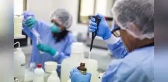 Propagación de Guillain-Barré en el Perú: ¿cuáles son las regiones con más casos? Propagación de Guillain-Barré en el Perú: ¿cuáles son las regiones con más casos?