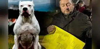 Adolescente muere tras ser atacada por perros dogos que eran "entrenados con pumas"