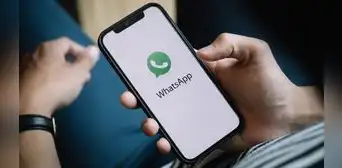 ¿Cómo saber cuál es el contacto o grupo de WhatsApp con el que conversas más? Descúbrelo