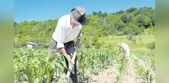 FAO: producción agrícola y pesquera en América Latina crecerá 12% al 2032 FAO: producción agrícola y pesquera en América Latina crecerá 12% al 2032