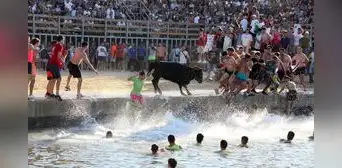 Toro muere ahogado durante festividad taurina: decenas de personas hicieron que cayera al agua Toro muere ahogado durante festividad taurina: decenas de personas hicieron que cayera al agua