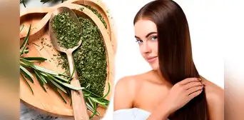¿Quieres un cabello sano y fuerte? Descubre 10 beneficios del romero para un pelo saludable