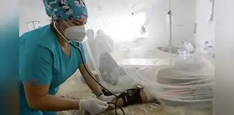 Dengue en Perú: La Libertad cierra con 16 fallecidos Dengue en Perú: La Libertad cierra con 16 fallecidos
