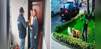 Maltrato animal: sujeto que golpeó a mascotas fue multado con más de S/2.400 en Magdalena Maltrato animal: sujeto que golpeó a mascotas fue multado con más de S/2.400 en Magdalena