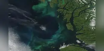 Cada vez menos azul: el color del océano está variando por el cambio climático