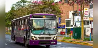 Corredor Morado: ATU anuncia incremento de buses en beneficio de más de 3.600 usuarios al día Corredor Morado: ATU anuncia incremento de buses en beneficio de más de 3.600 usuarios al día