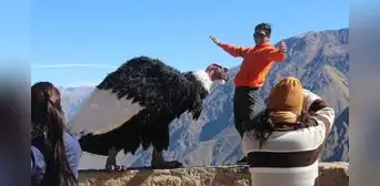¿A dónde viajar en Fiestas Patrias? 5 destinos del Perú que debes visitar en julio ¿A dónde viajar en Fiestas Patrias? 5 destinos del Perú que debes visitar en julio