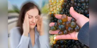 Esta es la planta que sobrepasa en proteínas a la carne y ayuda a prevenir la anemia Esta es la planta que sobrepasa en proteínas a la carne y ayuda a prevenir la anemia