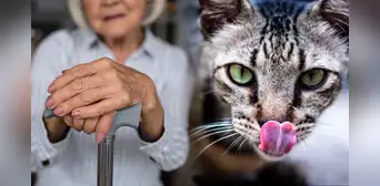 El caso de Clara Tobón: la mujer que fue devorada por sus gatos tras morir en soledad