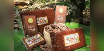 Denominación de origen Cacao Amazonas Perú empezaría a exportarse en el último trimestre de este año
