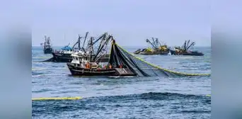 BCRP: economía peruana habría caído en mayo por fuerte contracción del sector pesca